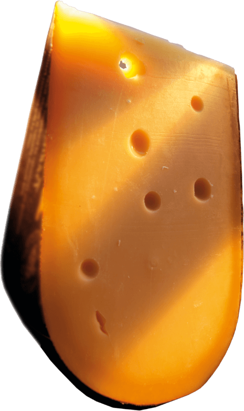 gouda-ecke-stehend